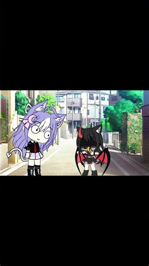 When you meet a cat on the street 💀