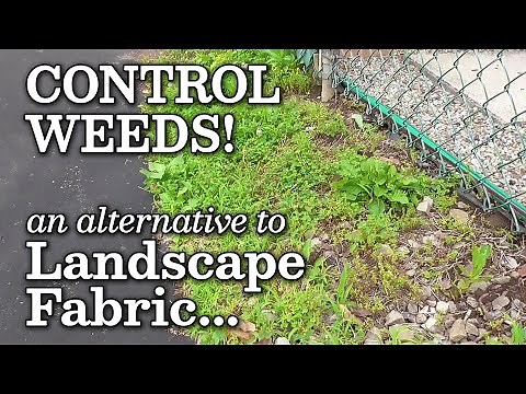 Landscape Fabric Pros & Cons Finding an Alternative thru Sheet Mulching for Weed Control