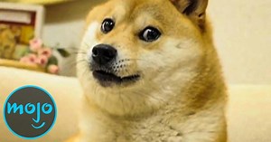 Top 10 NFT Stories of 2021 | Articles on WatchMojo.com