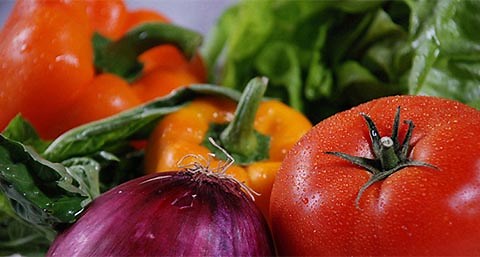 Toronto - The Old Spaghetti Factory