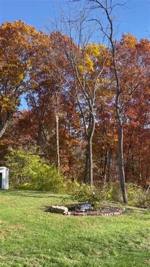 Tree cutters hit power line