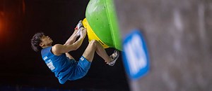 IFSC Boulder und Speed World Cup Seoul | Programm und Live-Stream