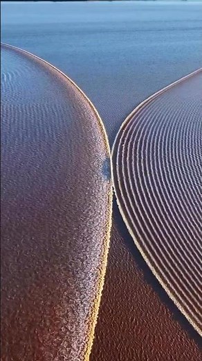 Square Waves: The Ocean's Rare and Dangerous Phenomenon 🌊 #squarewave #nature #naturalphenomenon