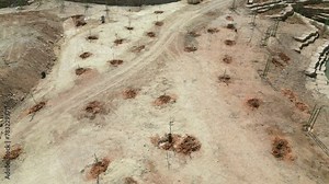planting trees in a deserted area top view