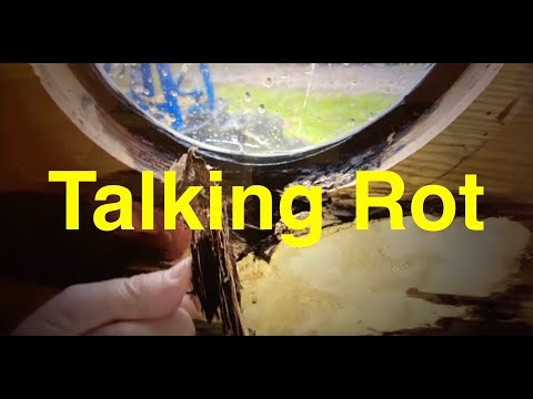 Fixing a rotten oak cabin lining.