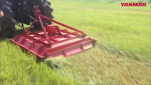 6.3K views · 25 reactions | Dàn cắt cỏ Yanmar được dùng để làm cỏ ở đồng ruộng, vườn trồng cây ăn quả và hữu ích khi cắt thân sắn, lá sắn để việc thu hoạch sắn dễ dàng hơn. Model: Y1200RSS / 1400RSS / 1600RSL ※ Hotline YANMAR: 1900 9286 (hỗ trợ toàn quốc) | Yanmar Vietnam | Facebook