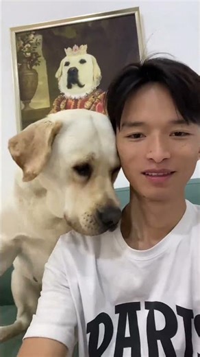 Tsundere is innate #Why does this dog look so human-like