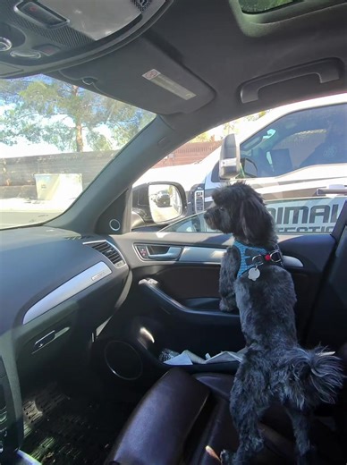 He aint stuntin the popo’s