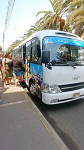 🌞 Te trasladamos de manera gratuita al gran parque acuático Azul Azul 🏝️💦 Si estás en tacna o próximo a venir no desaprovechar está oportunidad con nuestros. ¡La diversión no espera! 🎉🌊 🚐 ¿Quieres unirte y disfrutar de nuestro traslado gratuito? ¡Te buscamos directamente desde tu hotel o departamento amoblado en el centro de Tacna! 🏨✨ 📩 Más información con Made Valdez 📲 Haz tu reserva aquí: wa.me/ 51980497198 🌴💧 #tacna2026 #DiversiónSinLímite #AzulAzulTeEspera #MadeinTacna #MadeValdez