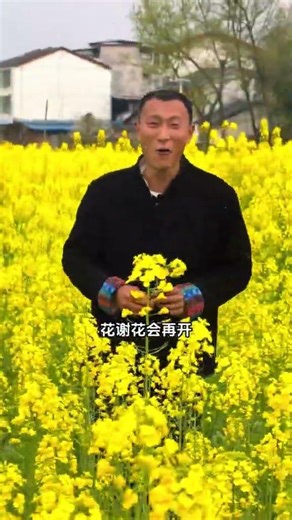 Blossoms Burst in Rehmannia's Embrace: A Spring Love Story