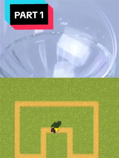 |Part 1| My Sister didn't pay my son for photography #part1 #reddit #viraltiktok #phonemessage#fyp #text #stories #viral #minecraft #buildhouse