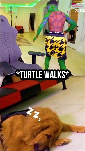 This Ninja Turtle Really Loves His Dog! 🥹❤️‍🩹