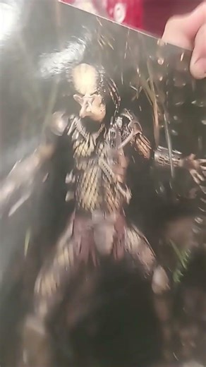 buying the neca jungle hunter predator that I found at target