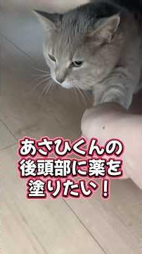 あさひ君にダニよけの薬を塗りたい私と絶対に塗られたくないあさひ君