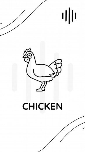 CHICKEN SOUND 🐓🐥 #chicken #foryou #fyp #egg #tiktok #viralvideos #tiktok #shorts #trending #chickens #fy #foryou #foryoupage #fypシ