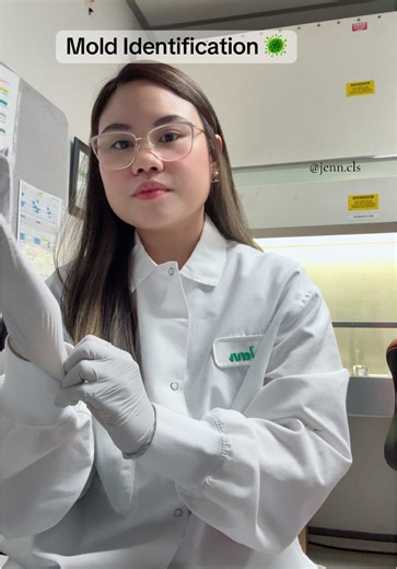 Identifying Aspergillus Terreus Mold | Microbiology Exploration