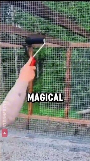 Invisible Paint? The Secret Behind This Optical Illusion