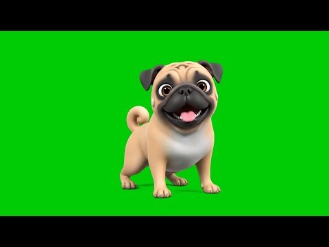 Realistic cartoon Dog Animation isolated on Green Screen Background HD