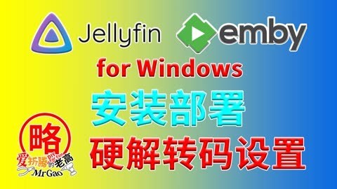 Jellyfin Emby for Windows安装部署和调试 硬解转码设置经验分享