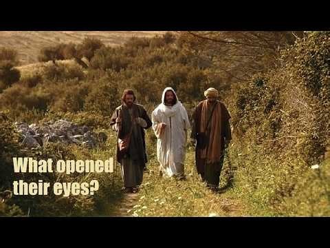 What does "Bearing" leave out of Acts 17:1-3? Was "Paul's custom" REASONING or visiting synagogue?