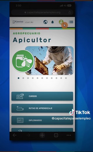 Comienza a capacitarte. Crea una cuenta en Capacítate para el Empleo. #aprendeentiktok #capacítateparaelempleo #cursosgratis #cursosenlínea #fundacióncarlosslim