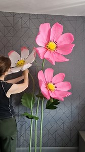 2.4K views · 6.7K reactions | Giant cosmos flowers handmade of Italian crepe paper 勺懶 | Grand Flora Uk | Facebook