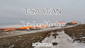 The Tsaatan people constitute a nomadic tribe residing deep within the Taiga region of northern Mongolia, representing one of the few remaining groups of nomadic reindeer herders globally. Approximately 400 Tsaatan individuals, comprising 70-80 families, form closely-knit communities entirely reliant on their reindeer herds. These animals serve as their primary mode of transportation for various purposes: hunting, gathering firewood, facilitating seasonal migrations, visiting kin and friends, an