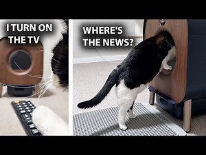 He Thought It Was a TV