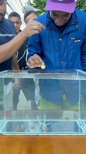 Desafio da moeda 🪙 😱 #brincadeira #desafios | Lucas Esposito