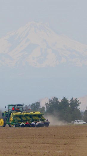 Lazarus Naturals on TikTok