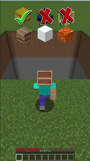 MINECRAFT FALL DAMAGE VS BLOCK'S