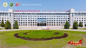 这片沃土