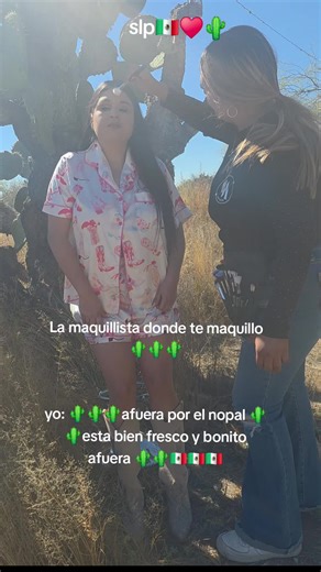 Discover Your Local Makeup Artist in San Luis Potosi