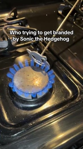 GETTING BRANDED BY SONIC THE HEDGEHOG