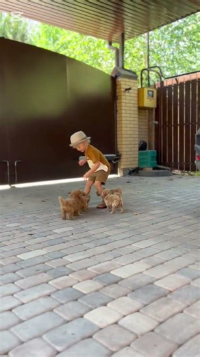 Cute Baby & Puppies Playing Together🐶🧛 Seconds Pure Loy💛