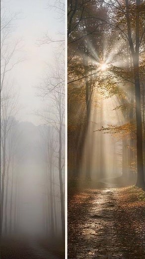 How do fog and mist magically appear? 🌬️ #WeatherScience #NatureMysteries #AtmosphereFacts