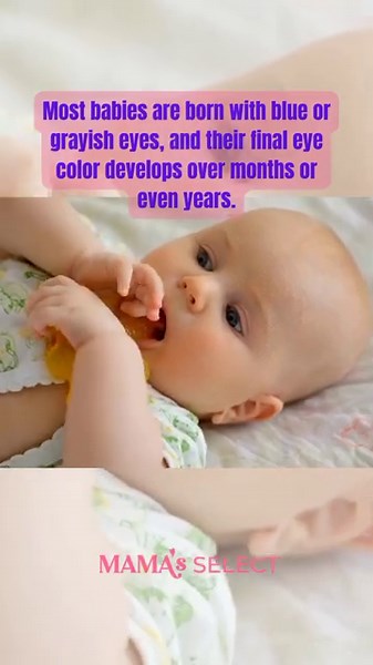 Why Most Babies Are Born With Blue Eyes | Baby Fun Fact