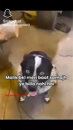 # funny # shorts # trending # youtube # video #