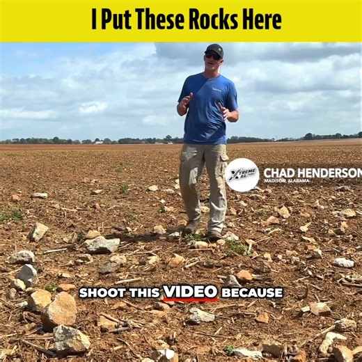 17 reactions | Why did Chad put all these rocks in his field? Here is why... #farming #agriculture #soil ADS Agriculture | XtremeAg.farm | Facebook