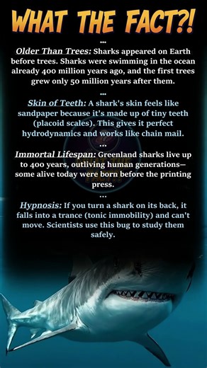 Sharks Older Than Trees? Ancient Beasts!