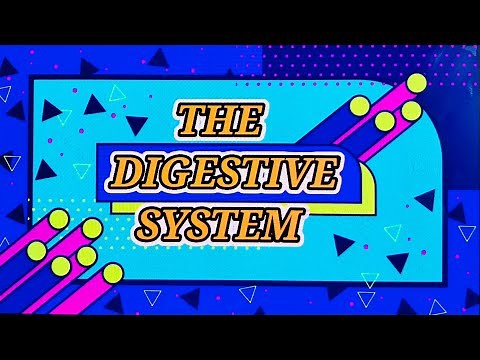 DIGESTIVE SYSTEM | Grade 8 Science Quarter 4: Module 1