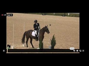 Elisa Wallace and Nodin working equitation course at Mustang Classic 2025