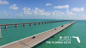 728 reactions · 86 shares | Need a little Florida? Find your moment of sunshine. | VISIT FLORIDA | Facebook