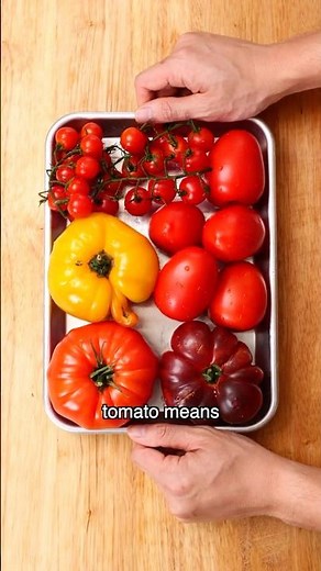 The Great Tomato Experiment
