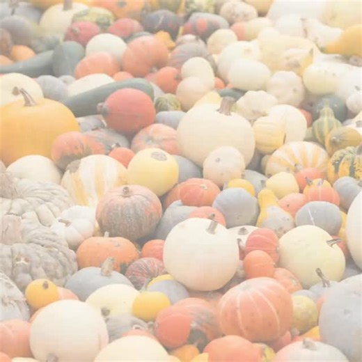 Pumpkins, patios, and plenty to do ✨ Tap into our Fall Guide for local spots + seasonal inspo! Located in LinkTree in Bio. #FallInTexas #CozySeason #localguide | Nayely Bergolla | Facebook