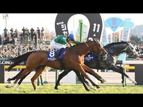 ジャパンＣはまさかの展開 場内騒然のアクシデント続出 ＳＮＳ「何があった？」「大丈夫か？」スタート直後、入線後に計３頭が落馬