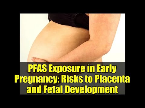 PFAS Exposure in Early Pregnancy: Risks to Placenta and Fetal Development