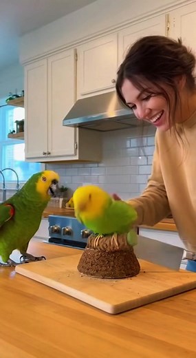 3.9K views · 22 reactions |  When your cake looks too real and your parrot takes it personally! 列 #viralvideochallenge #funnymoments #ViralLaughs #realorfake #fypシ #foryoupageシ | Soul Psychology | Facebook