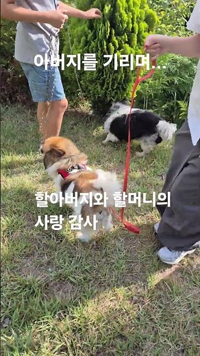 아버지를추억하며#9주기#추도예배#조부모님사랑베품감사