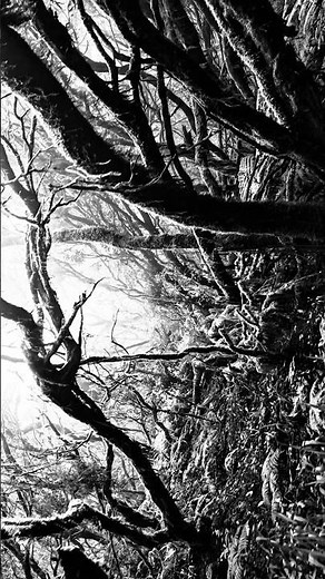 Max Richter: On The Nature Of Daylight (Movie: Shutter Island) CINEMATIC and ATMOSPHERIC Music